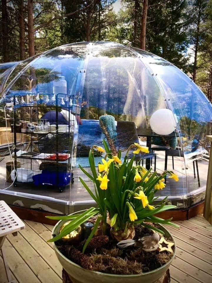Sorfjorden Eye Iglo - Fosen Glamping